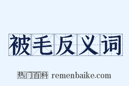 被毛反义词是什么意思的图片